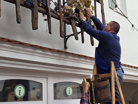 Prleška brotva 2025 (6)